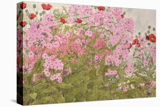 Pink Phlox and Poppies with a Butterfly-Linda Benton-Premier Image Canvas