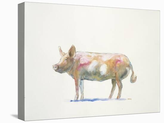 Pink Pig-Patti Mann-Stretched Canvas