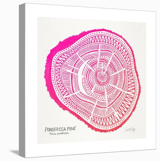 Pink Ponderosa-Cat Coquillette-Stretched Canvas