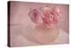 Pink Ranunculus Bouquet-Cora Niele-Premier Image Canvas