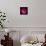 Pink Ranunculus-Magda Indigo-Premier Image Canvas displayed on a wall