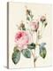 Pink Rose and Buds, 1832-Louise D'Orleans-Premier Image Canvas