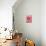 Pink rose-Herbert Kehrer-Premier Image Canvas displayed on a wall