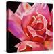 Pink Rose-Hyunah Kim-Stretched Canvas