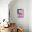 Pink Roses, Close-Up-Brigitte Protzel-Premier Image Canvas displayed on a wall