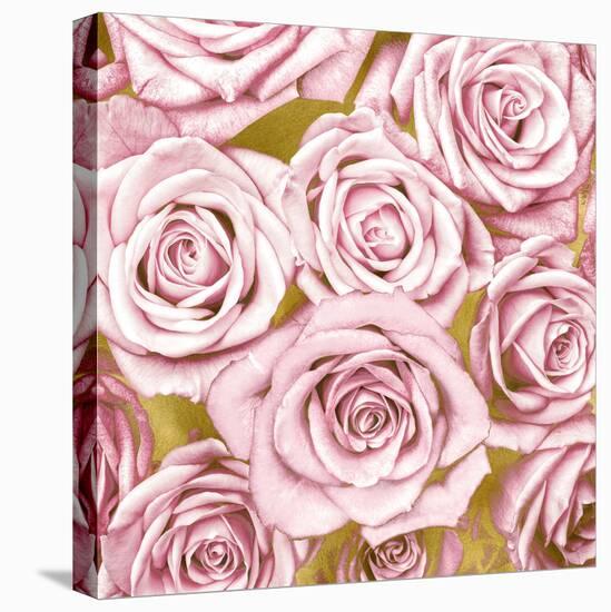 Pink Roses on Gold-Kate Bennett-Stretched Canvas