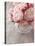 Pink Roses on Wooden Desk-egal-Premier Image Canvas