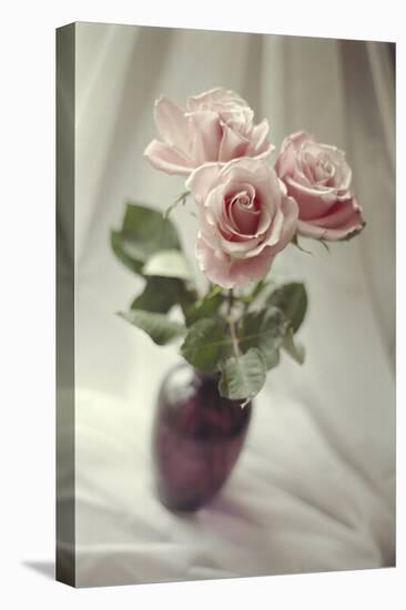 Pink Roses-Anna Miller-Premier Image Canvas