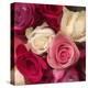 Pink Roses-Dan Meneely-Stretched Canvas