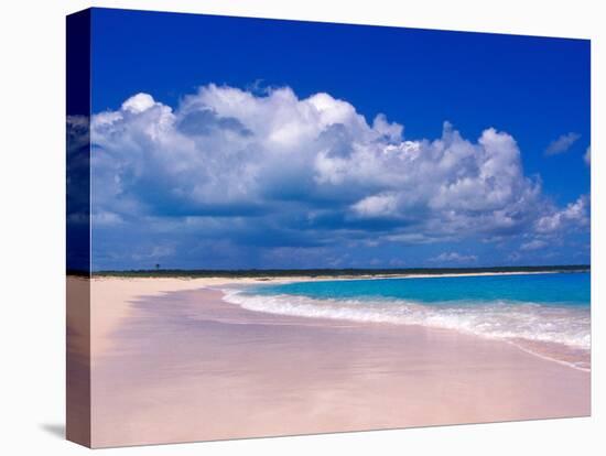 Pink Sand Beach, Harbour Island, Bahamas-Greg Johnston-Premier Image Canvas