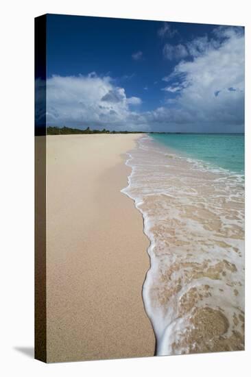 Pink Sand Beach Is Located on the Southwest Coast of the Small Island of Barbuda-Roberto Moiola-Premier Image Canvas