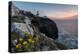 Pink sky at sunset and yellow flowers frame the lighthouse, Cabo De Sao Vicente, Sagres, Algarve, P-Roberto Moiola-Premier Image Canvas