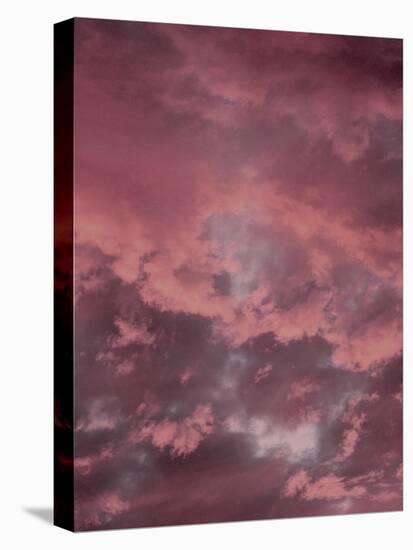 Pink Sky-Design Fabrikken-Premier Image Canvas
