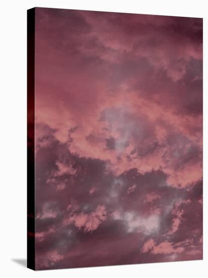 Pink Sky-Design Fabrikken-Premier Image Canvas