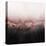 Pink Sky-Elisabeth Fredriksson-Premier Image Canvas