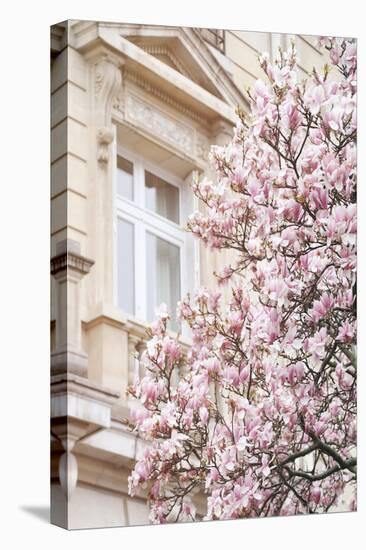 Pink Spring Magnolias in Paris-Carina Okula-Premier Image Canvas
