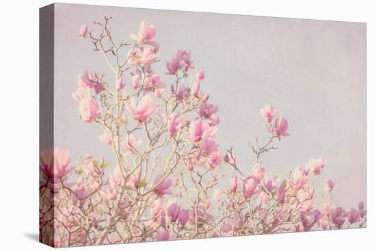 Pink Tree Tops I-Elizabeth Urquhart-Stretched Canvas