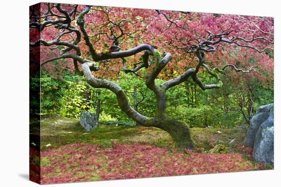 Pink Tree-Moises Levy-Premier Image Canvas