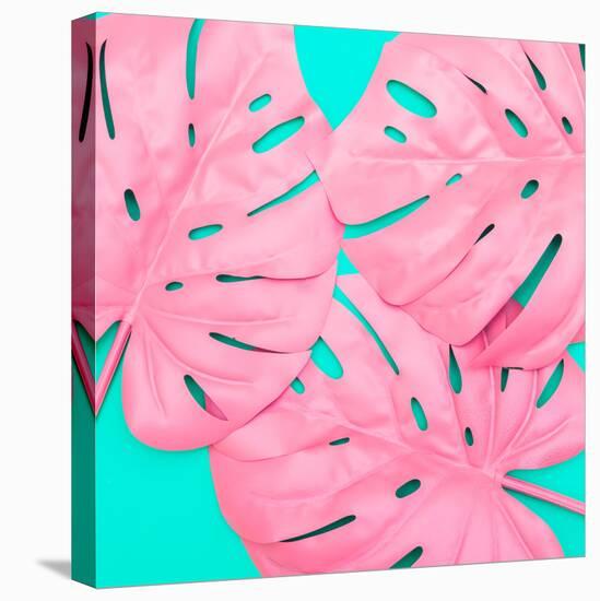 Pink Tropical Palm Leaves of Monstera in Vibrant Bold Color on Turquoise Background-Katya Havok-Stretched Canvas