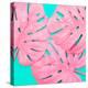 Pink Tropical Palm Leaves of Monstera in Vibrant Bold Color on Turquoise Background-Katya Havok-Stretched Canvas