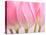 Pink Tulips Flowers-Julie Pigula-Premier Image Canvas