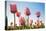 Pink Tulips, Skagit County, Washington-Greg Probst-Premier Image Canvas