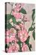 Pink Vine Flowers-Incado-Stretched Canvas