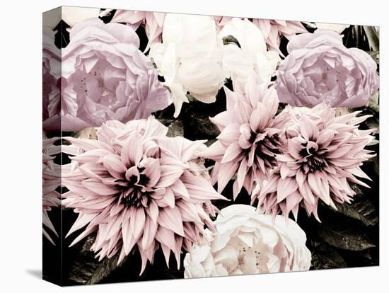 Pink Washed Garden-Emily Navas-Premier Image Canvas