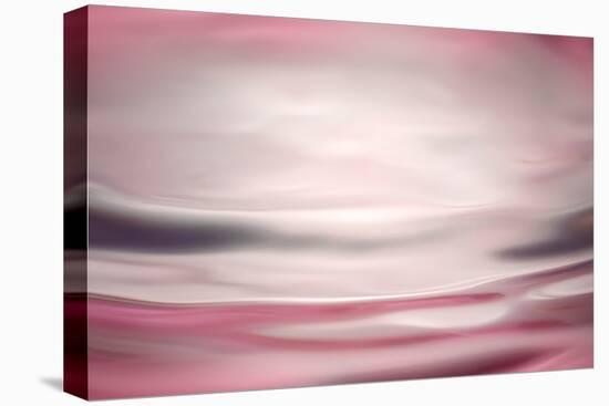 Pink Waters-Ursula Abresch-Premier Image Canvas