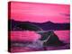 Pink Whale-Megan Aroon Duncanson-Stretched Canvas