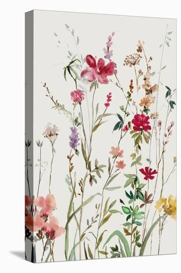 Pink Wild Flowers II-Asia Jensen-Stretched Canvas