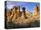 Pinnacles in Red Canyon, Big Bend National Park, Texas, USA-Scott T. Smith-Premier Image Canvas