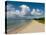 Pinney's Beach, Nevis, St. Kitts and Nevis, West Indies, Caribbean, Central America-Sergio Pitamitz-Premier Image Canvas