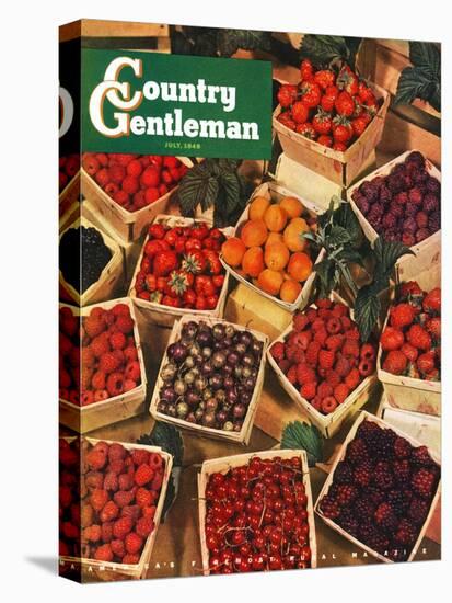 "Pints of Fruit and Berries," Country Gentleman Cover, July 1, 1949-J.c. Allen-Premier Image Canvas
