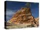 Pinyon Pine atop Sandstone Hoodoo-James Randklev-Premier Image Canvas