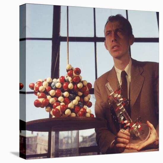 Pioneer Geneticist Biologist James Watson with Molecular Model of DNA-Andreas Feininger-Premier Image Canvas