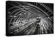 Pioneer Square Station, Seattle, Washington, USA-Christopher Reed-Premier Image Canvas