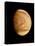 Pioneer Venus Image of Venusian Clouds-null-Premier Image Canvas