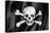 Pirate Flag, Jolly Roger-daboost-Stretched Canvas