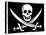 Pirate Flag-null-Premier Image Canvas