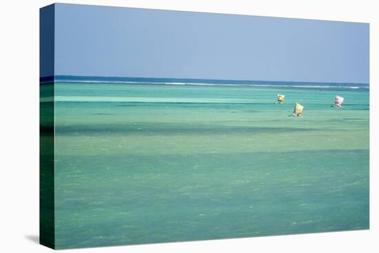 Pirogue, a Traditional Madagascar Sailing Boat, Ifaty Beach, Madagascar, Africa-Matthew Williams-Ellis-Premier Image Canvas