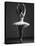 Pirouette-Design Fabrikken-Premier Image Canvas