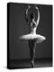 Pirouette-Design Fabrikken-Premier Image Canvas