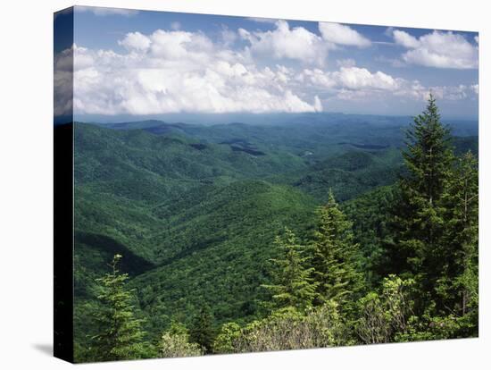 Pisgah National Forest, North Carolina, USA-Adam Jones-Premier Image Canvas