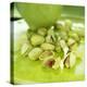 Pistachio Nuts-David Munns-Premier Image Canvas