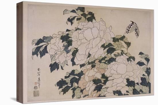 Pivoines et papillons-Katsushika Hokusai-Premier Image Canvas