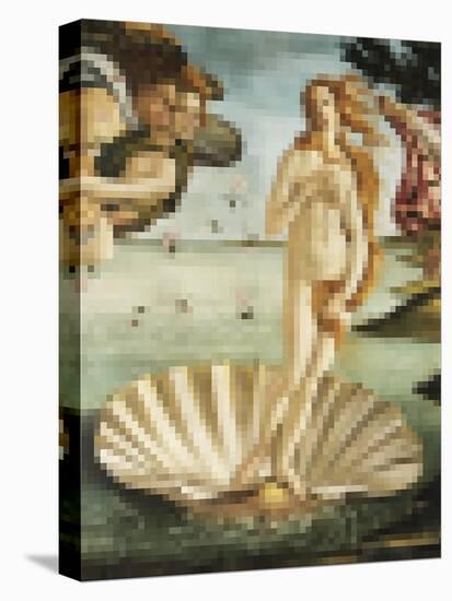 Pixelated Venus on the Halfshell-Studio W-Stretched Canvas