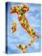 Pizza in Shape of Map of Italy-null-Premier Image Canvas