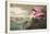 Pl 321 Roseate Spoonbill-John Audubon-Stretched Canvas