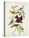 Pl 354 Louisiana Tanager-John Audubon-Stretched Canvas